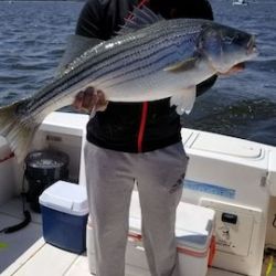 sandyhook fishing 85 20200406