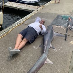 shark fishing 1 20200707