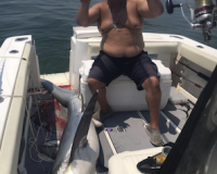 shark fishing 3 20200707