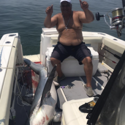 shark fishing 3 20200707